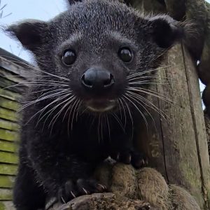 Keeper for the Day Gift Voucher