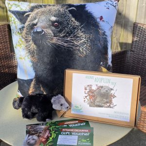 Binturong Day Raffle Tickets