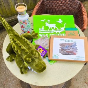 World Crocodile Day